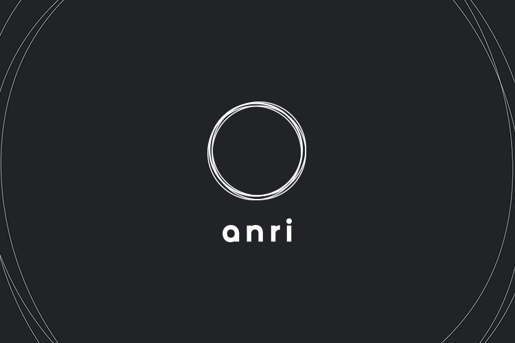 ANRI IDENTITY AND WEBSITE