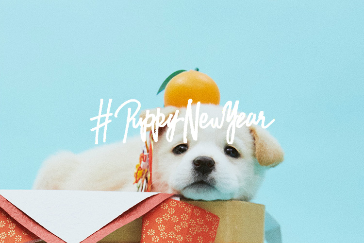 PUPPY NEW YEAR<br />
CAMPAIGN WEBSITE