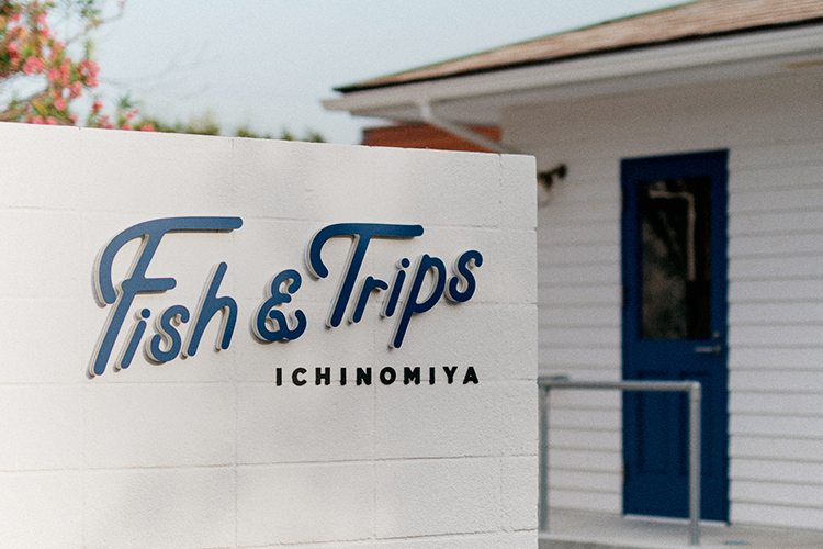 FISH & TRIPS VI DESIGN