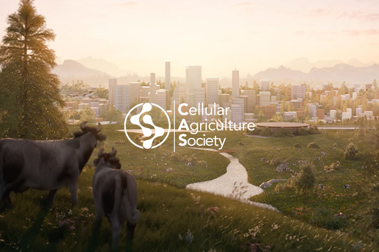 CELLULAR AGRICULTURE SOCIETY<br />
WEBSITE REDESIGN